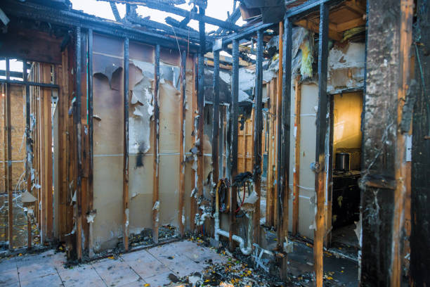 Professional Fire Damage Removal technician working in Mililani Mauka, HI
